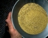 Gold Discovered in the Yukon