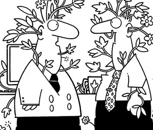 Cartoon