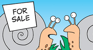 Cartoon