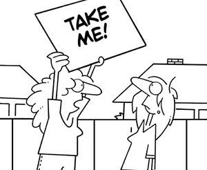 Cartoon